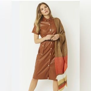 Zara Burnt Sienna Faux Leather/Lambskin Snap Down Maxi Dress Small